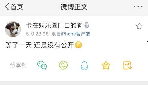 吃瓜爆料原声,娱乐圈幕后真相大曝光