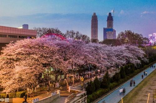 抖音网红吃瓜入口在哪,入口之谜大揭秘