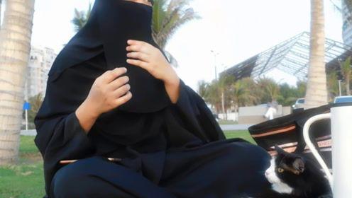 娱乐吃瓜君 网红